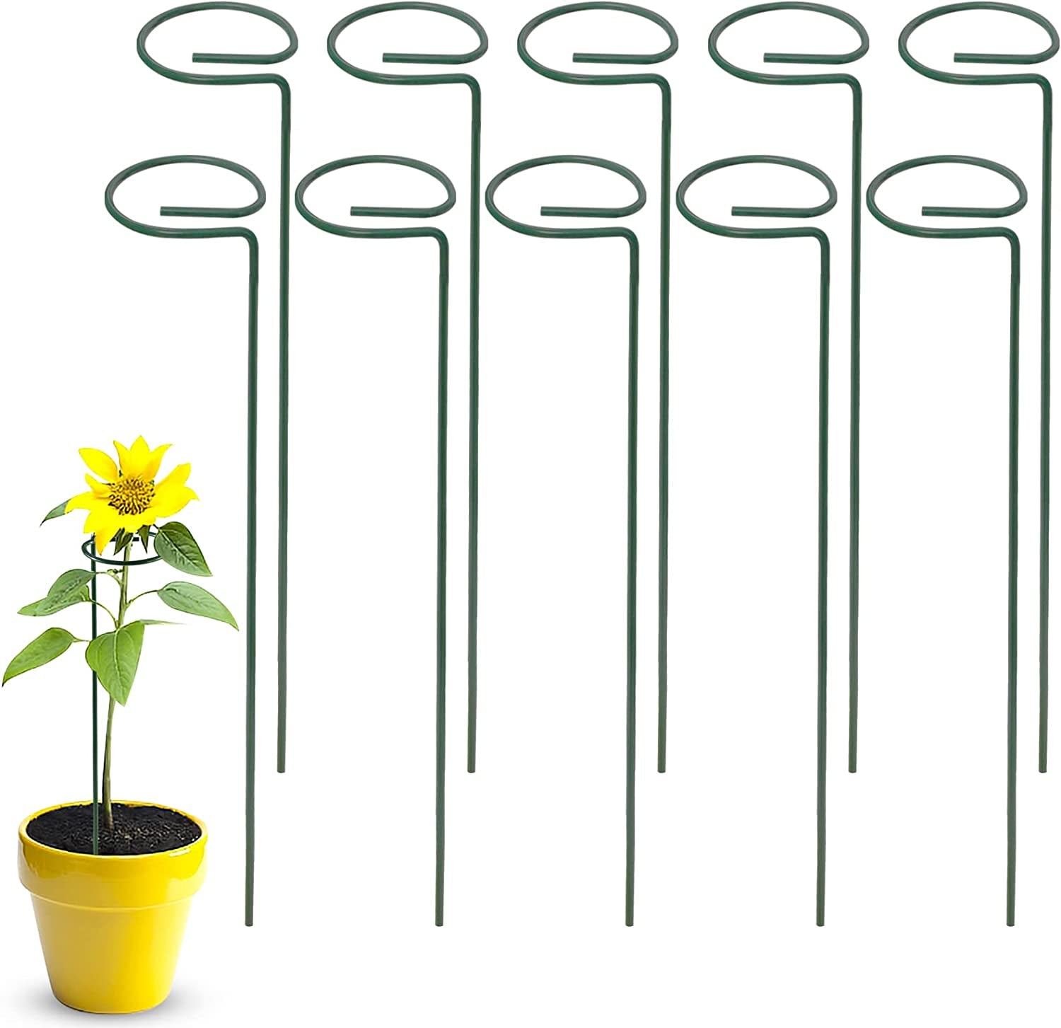 SZMDLX, 10 PCS Plant Supports Stake, 10" Wide X 16" High, Half round Metal Garden Outdoor Plant Support Ring Cage, Border Support for Flowers Vine Tomato Indoor Plant