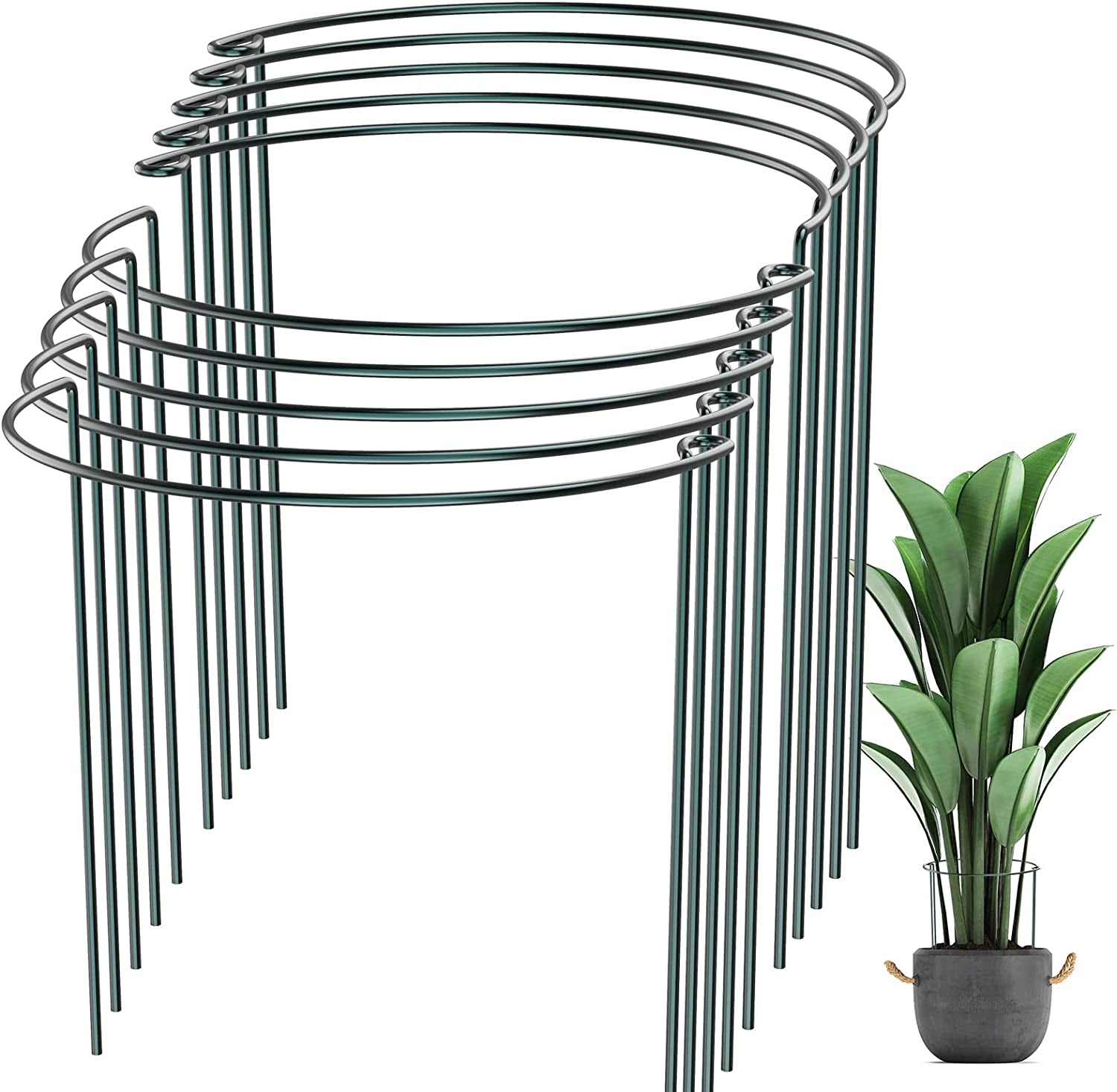 SZMDLX, 10 PCS Plant Supports Stake, 10" Wide X 16" High, Half round Metal Garden Outdoor Plant Support Ring Cage, Border Support for Flowers Vine Tomato Indoor Plant