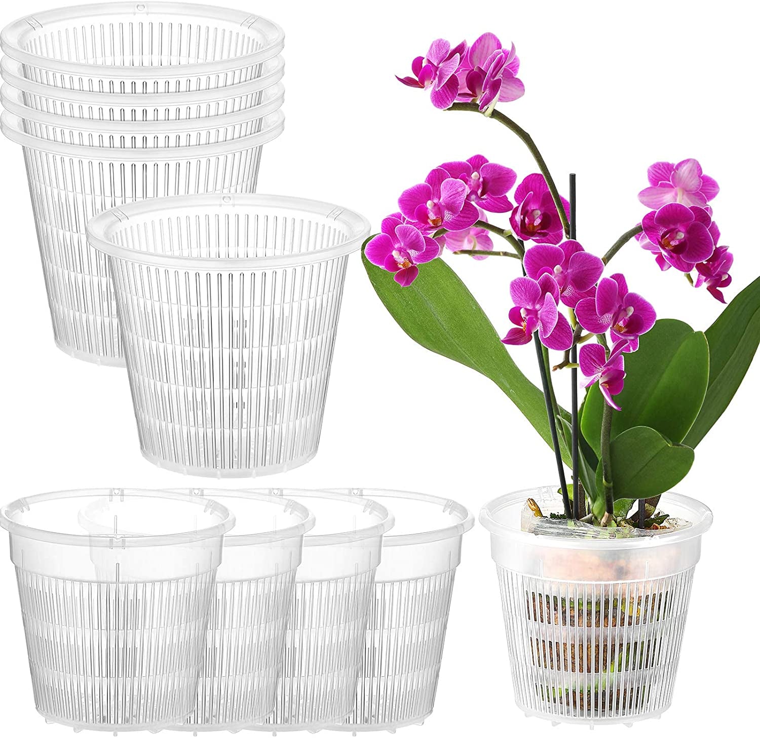 Patelai, 10 Pieces Clear Orchid Pot with Holes Set Orchid Breathable Slotted Clear Plastic Plant Pot Outdoor and Indoor Use (White,4.3 Inches, 5.5 Inches)